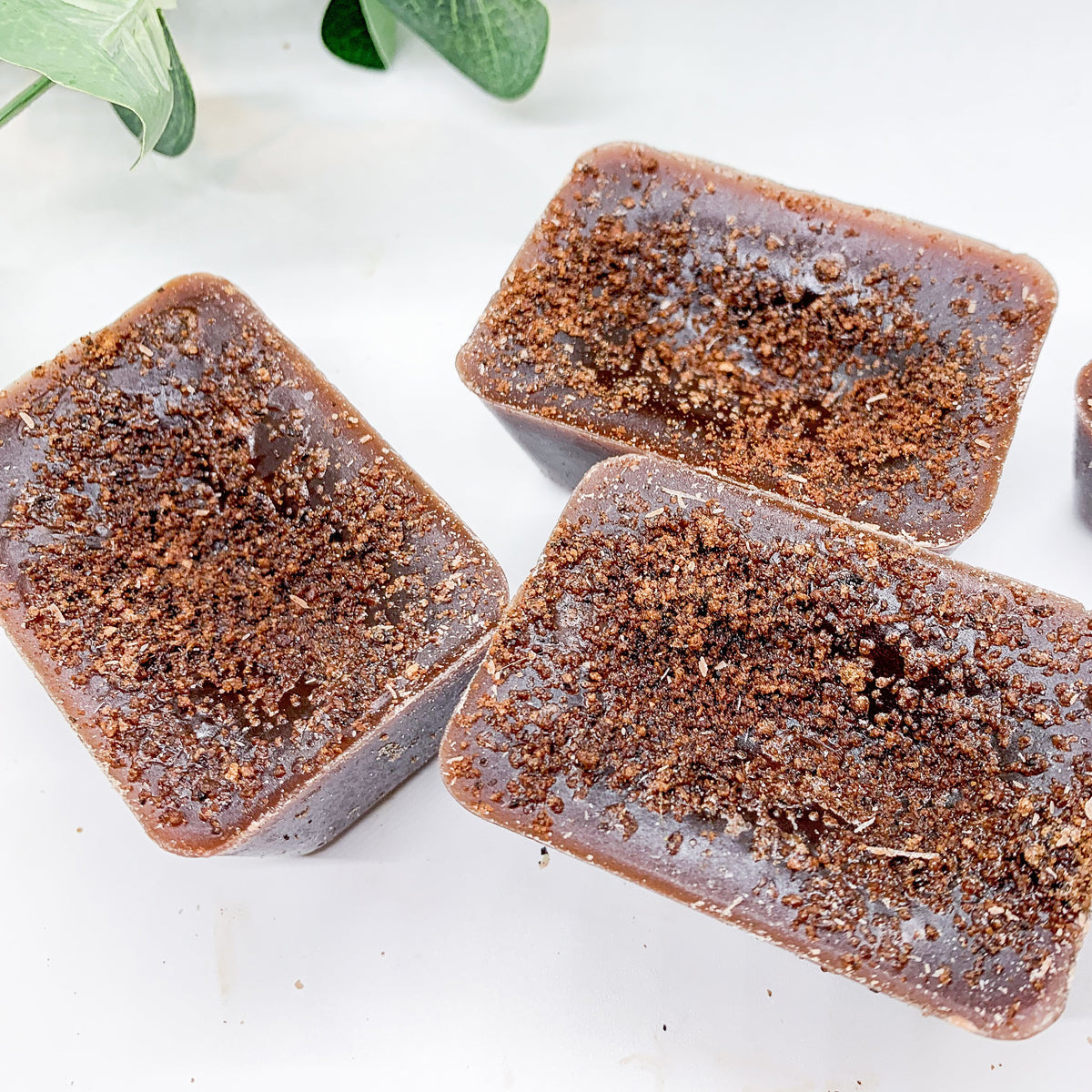 Gingerbread Spiced Latte XL Wax Melts - Warm Gingerbread Latte Scent