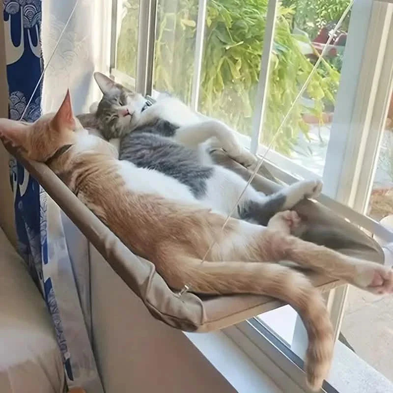 360¬∞ Cat Window Hammock: A Space-Saving Sunny Seat for Indoor Cats!