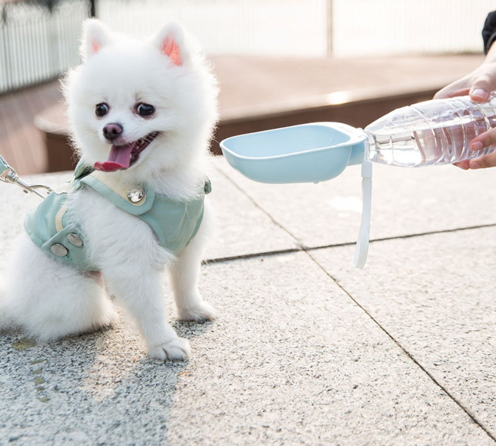 Teddy Portable Drinking Water Bottle
