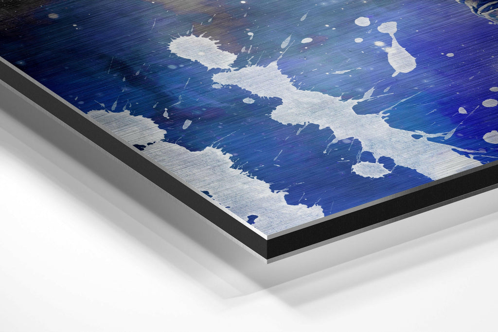 Fly in Space Brushed Aluminium Dibond Wall Art