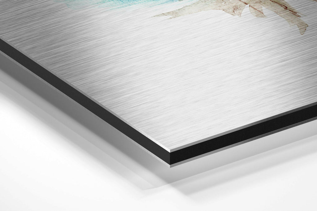 Flower Brushed Aluminium Dibond Wall Art