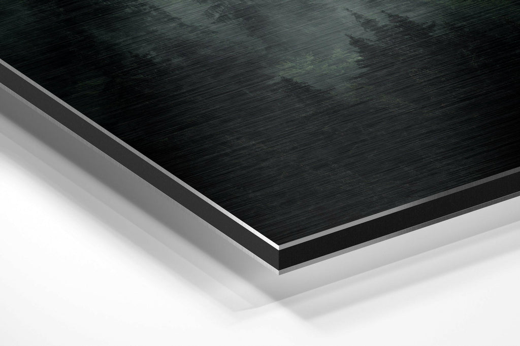 Forest Brushed Aluminium Dibond Wall Art