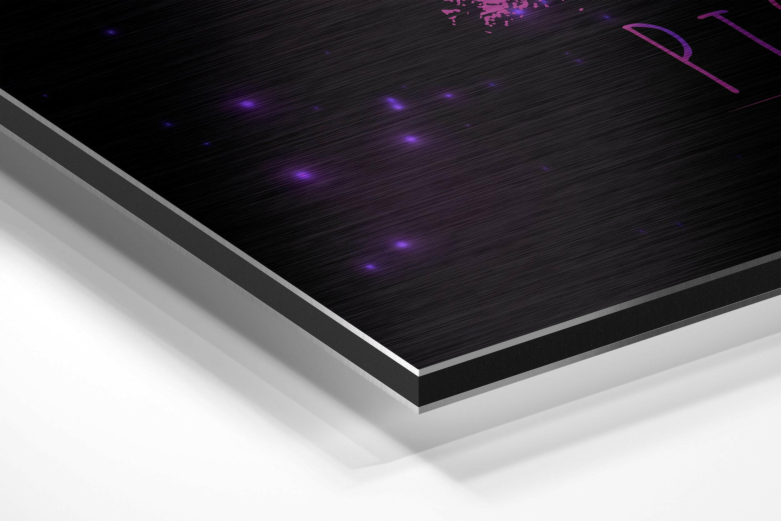 Pisces Brushed Aluminium Dibond Wall Art