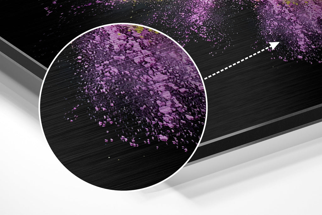 Color Burst Brushed Aluminium Dibond Wall Art