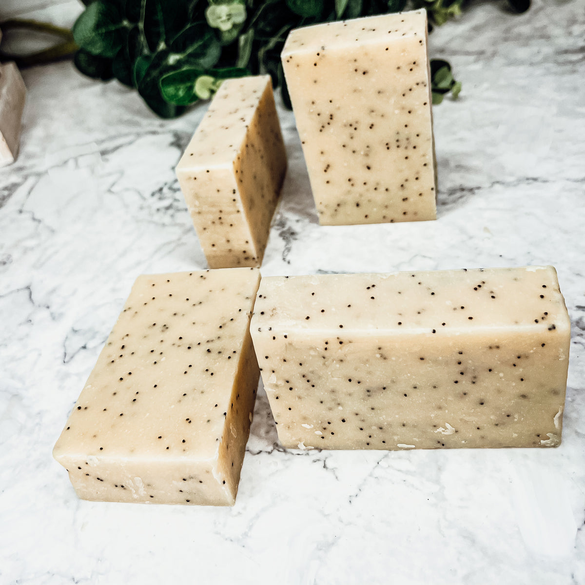 Poppy Seed Exfoliant Soap Olive Sunflower Oil Citrus Tropical Scent Handmade