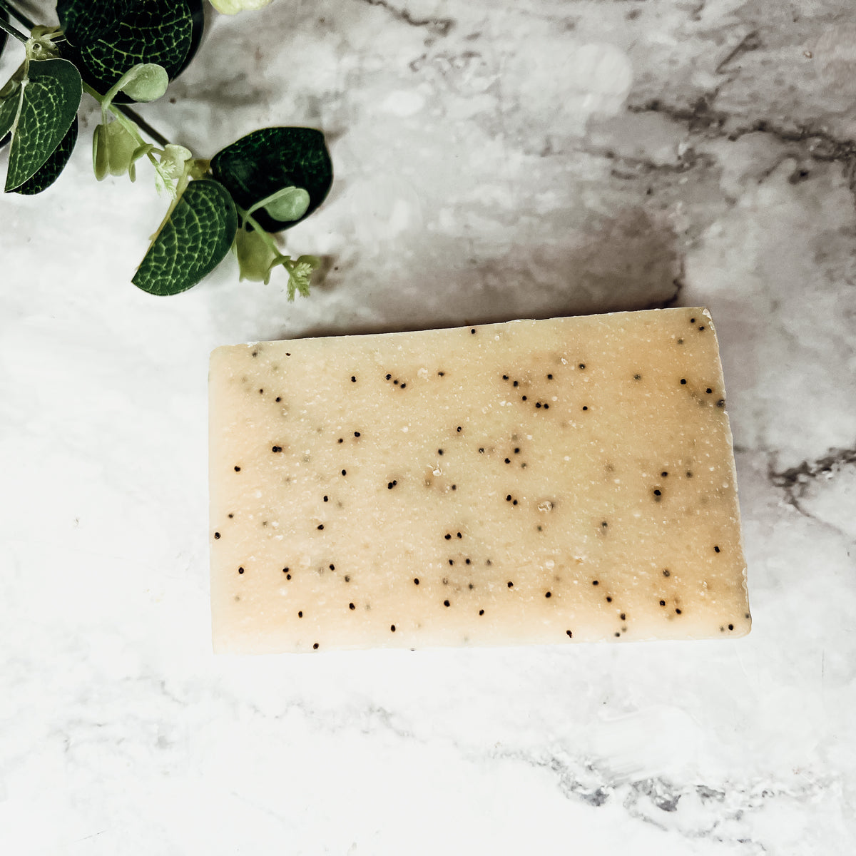 Poppy Seed Exfoliant Soap Olive Sunflower Oil Citrus Tropical Scent Handmade