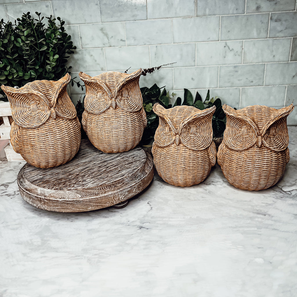 Basket Weave Owl Figurine Resin Rustic Owl Bookend Tabletop Accent Home Decor