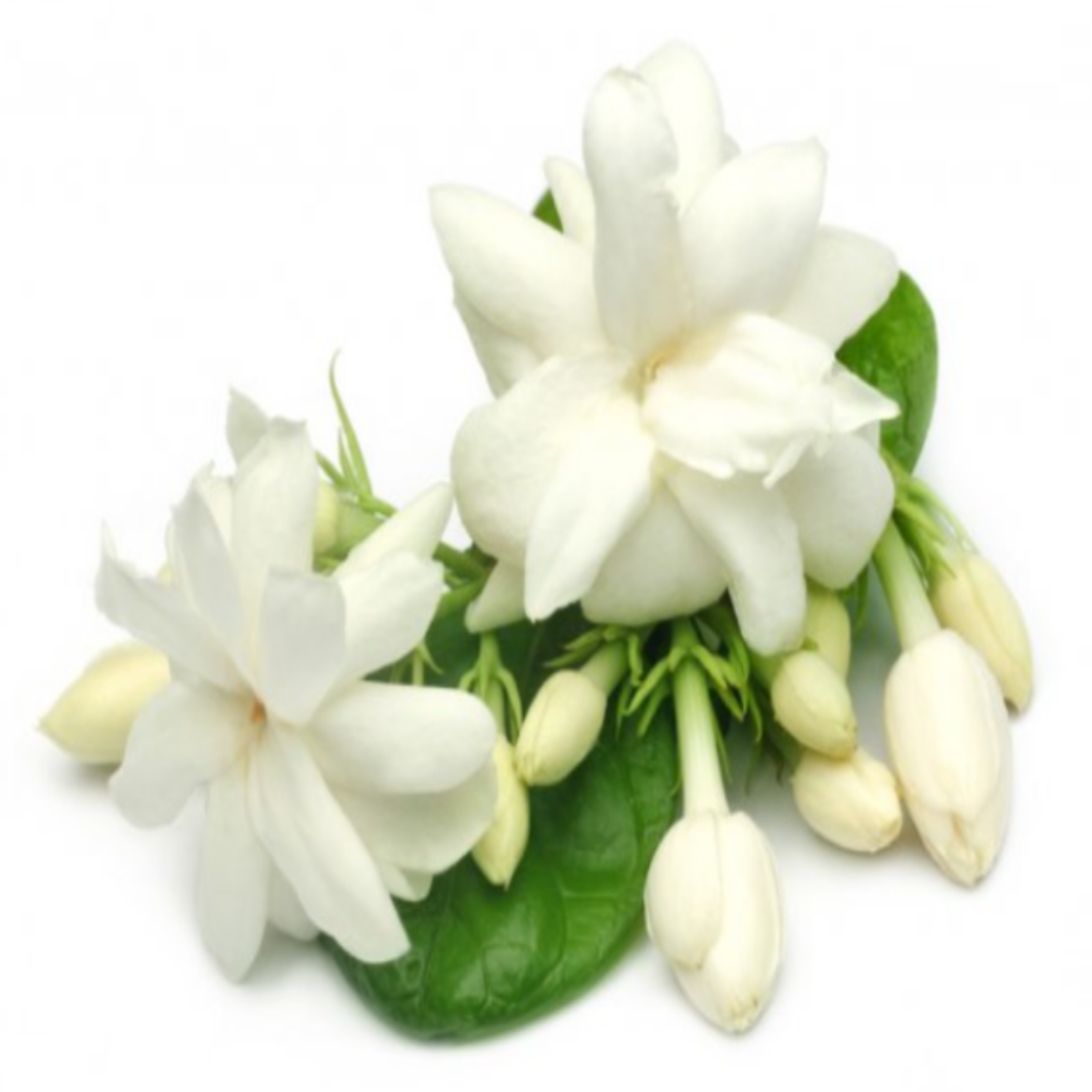 Exfoliating Nourishing Anti-Aging Body Scrub - Jasmine Fragrance