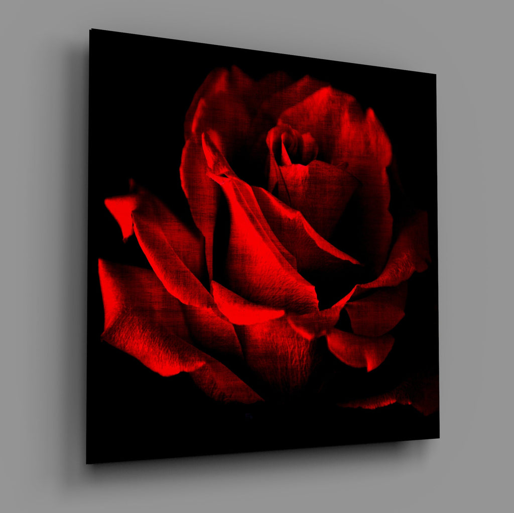 Red Rose Glass Wall Art