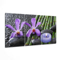 Purple Orchid Mega Glass Wall Art
