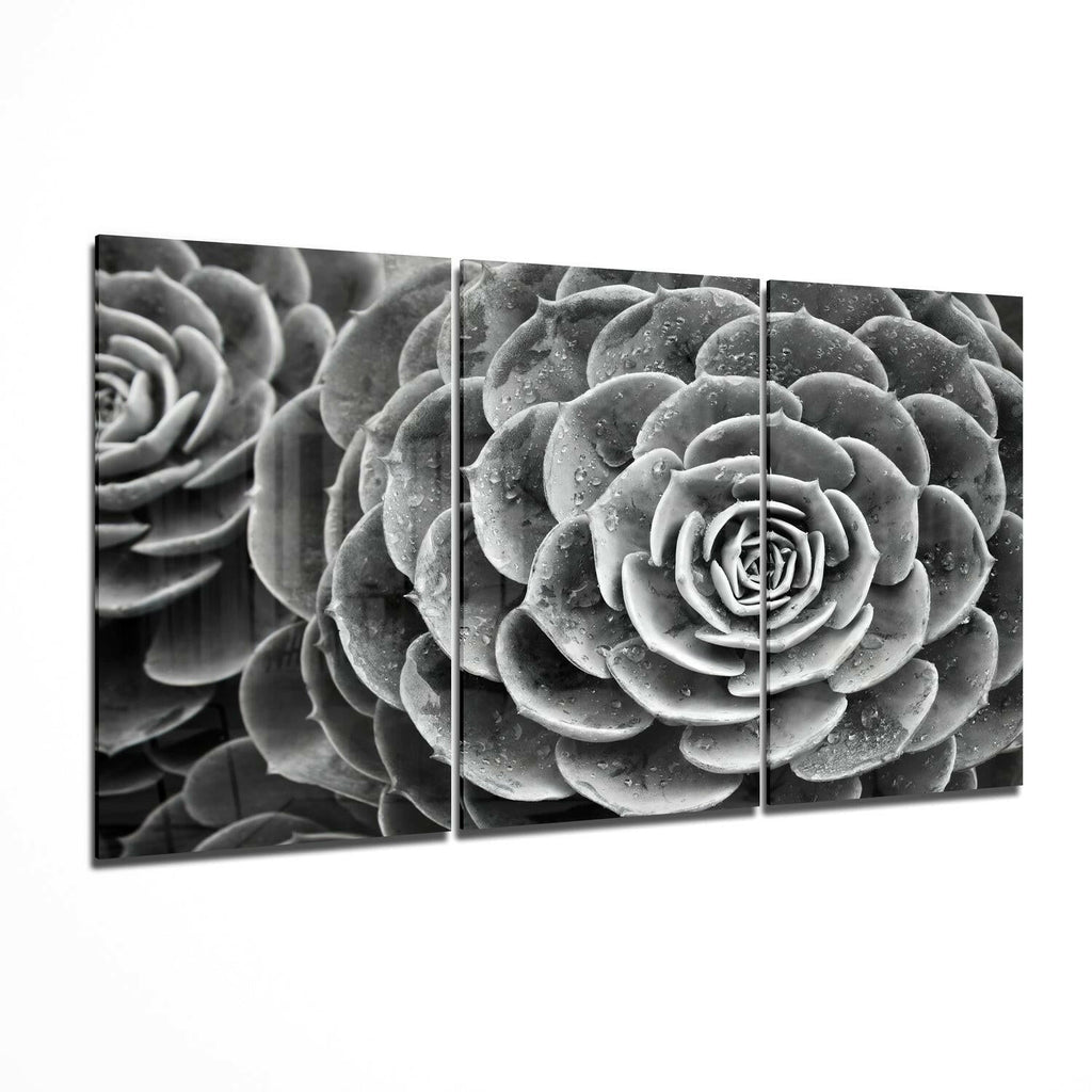 Succulent Glass Wall Art