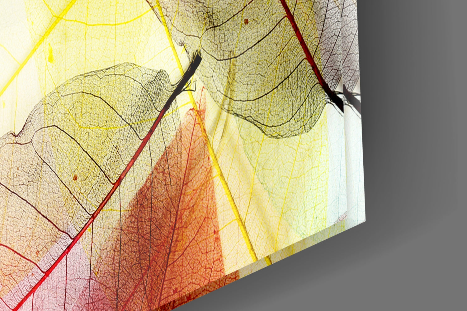 Colorful Leaves Glass Wall Art
