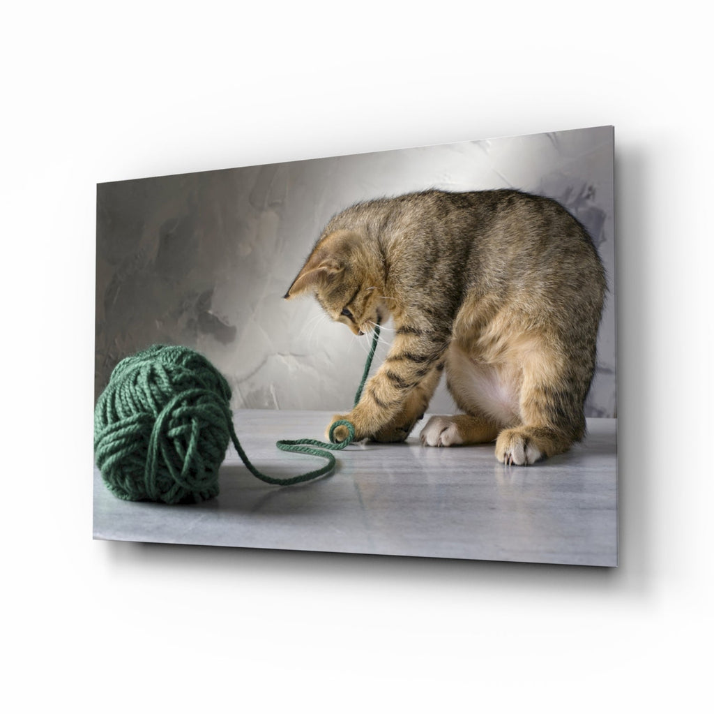 Cat Glass Wall Art