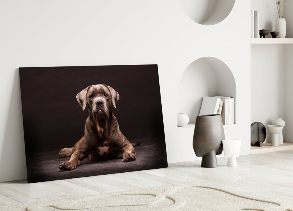 Dog Glass Wall Art