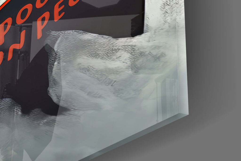 Wise Seagull Glass Wall Art || Designer Collection