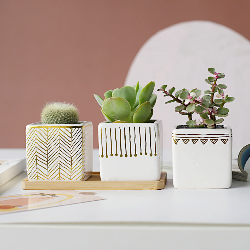 Succulent Ceramic Flower Pot Small Square Table Top Ornament