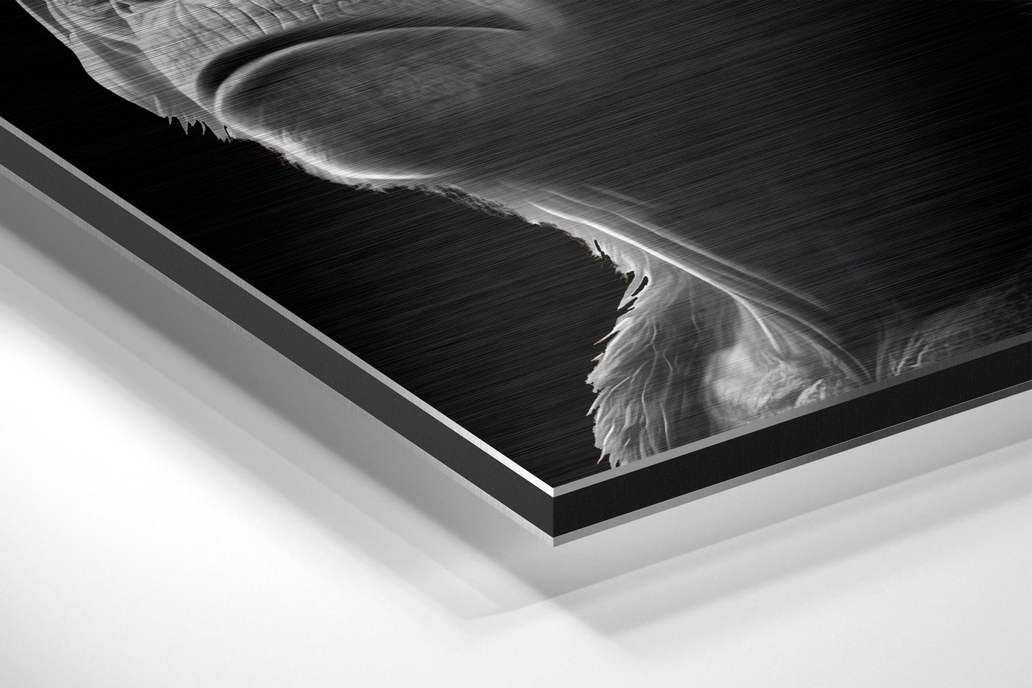 3 Wise Monkeys Brushed Aluminum Dibond Wall Art