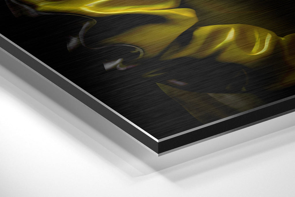 Fashionate Rhino Brushed Aluminum Dibond Wall Art