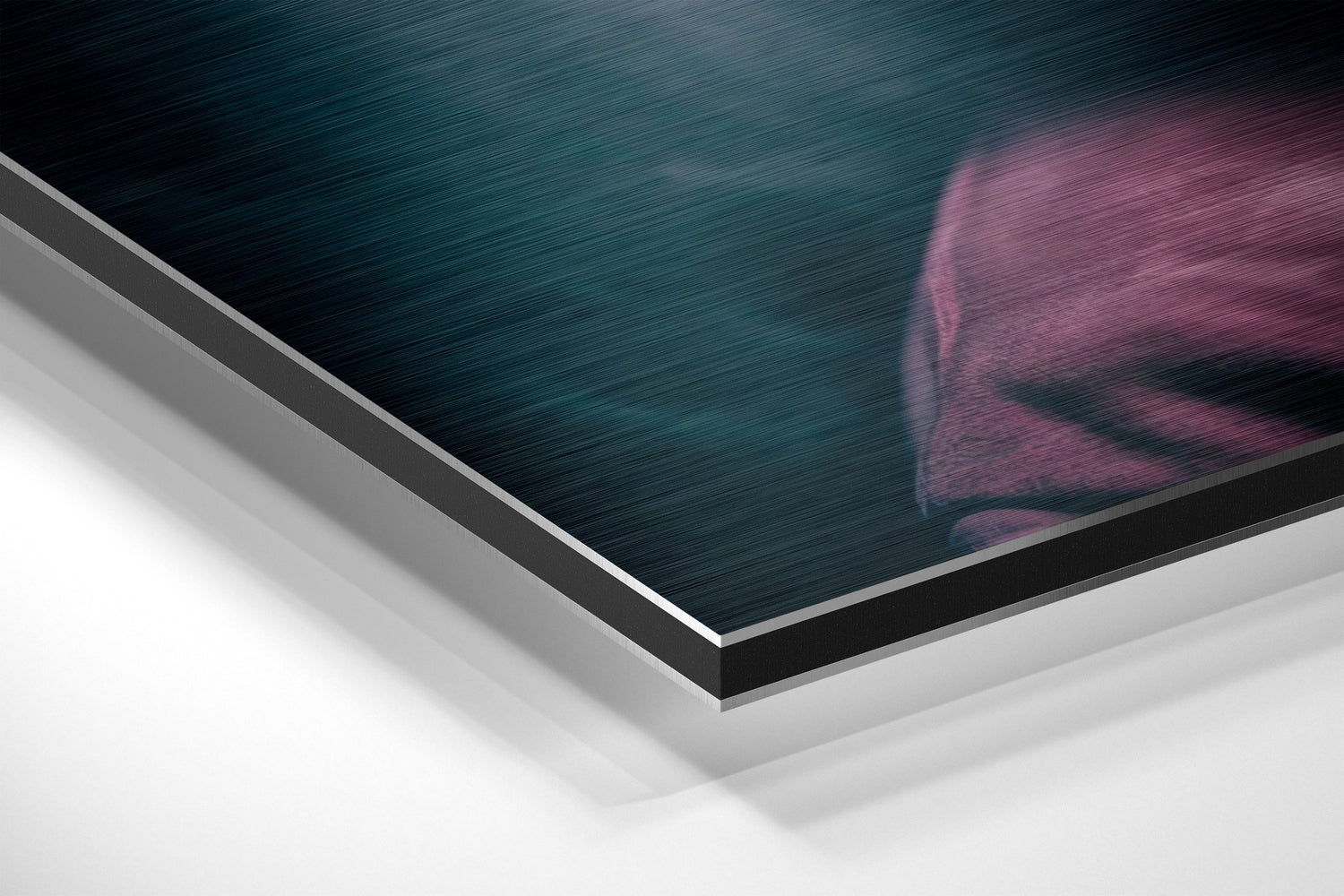 Tupac Brushed Aluminum Dibond Wall Art