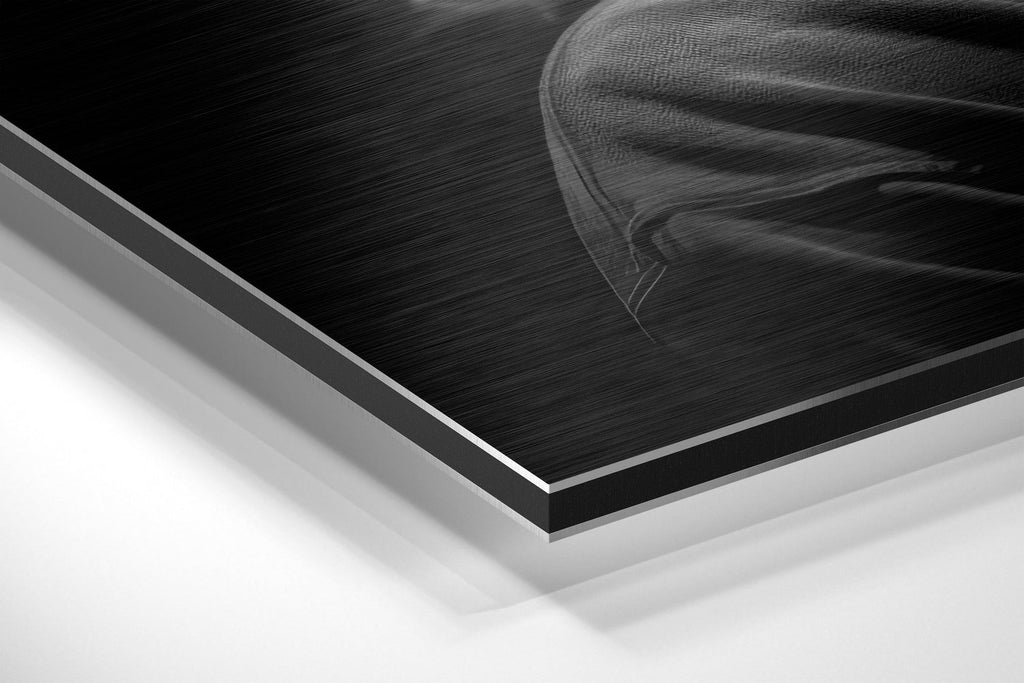 Tupac Brushed Aluminum Dibond Wall Art