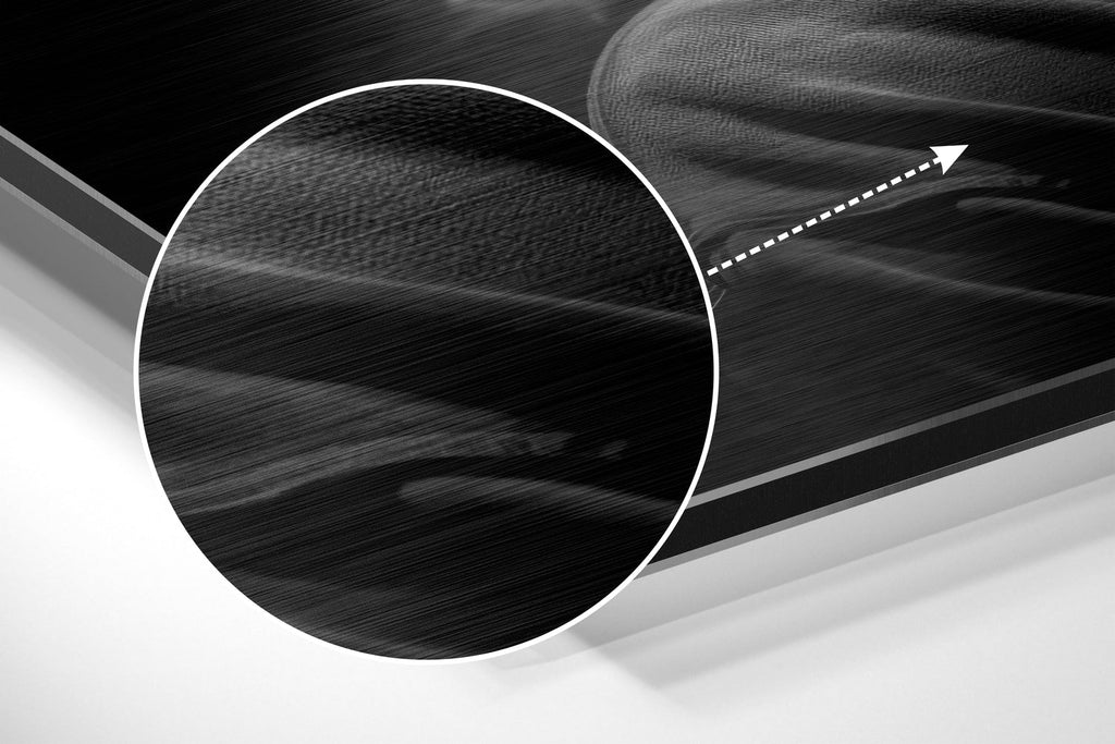 Tupac Brushed Aluminum Dibond Wall Art