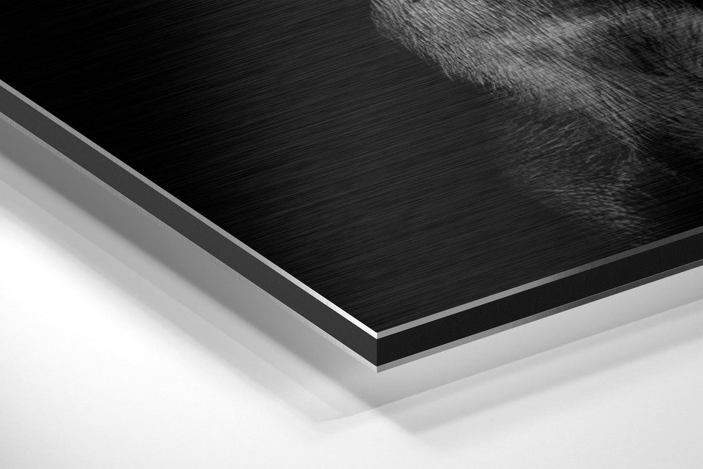 Dog and Gun Brushed Aluminum Dibond Wall Art