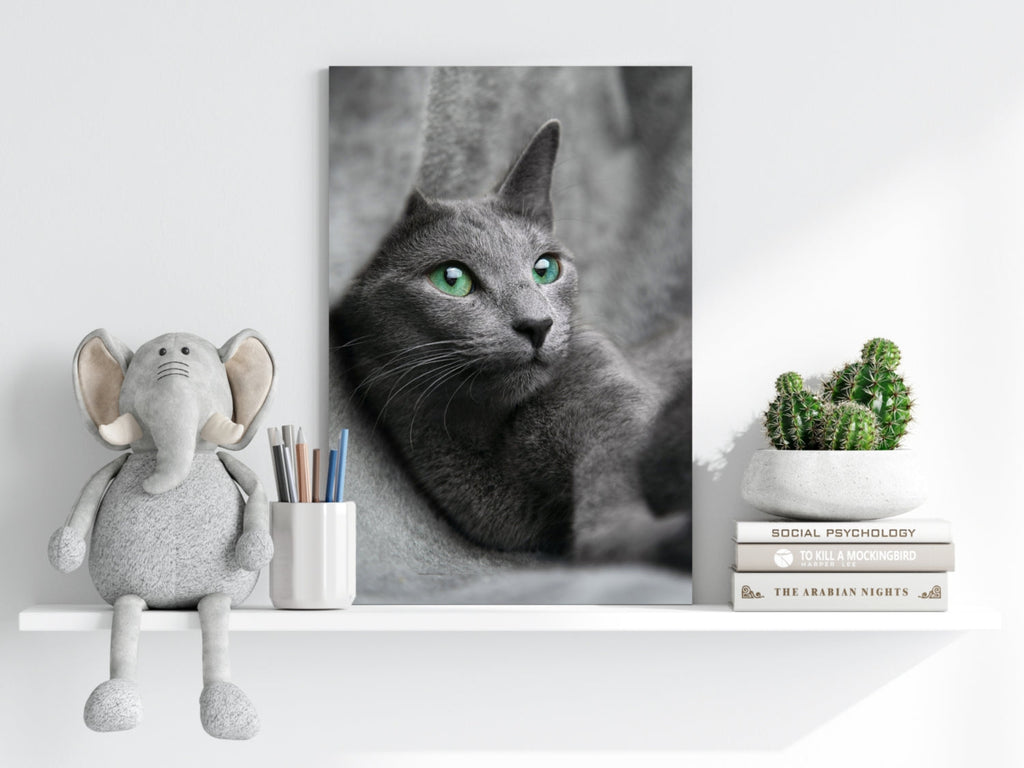 Cat Aluminum Print