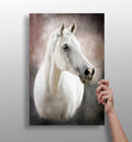 Horse Aluminum Print