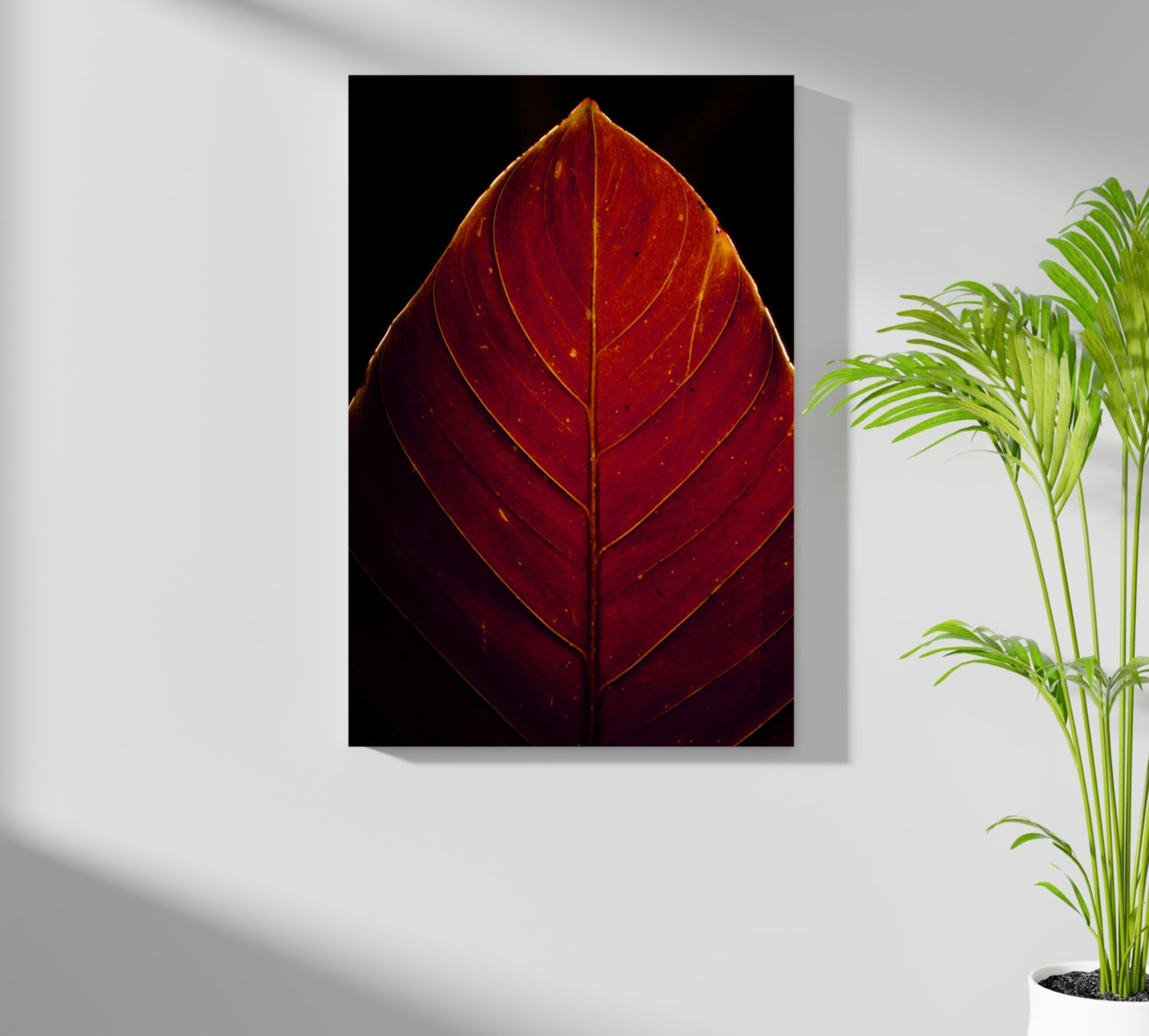 Red Leaf Aluminum Print