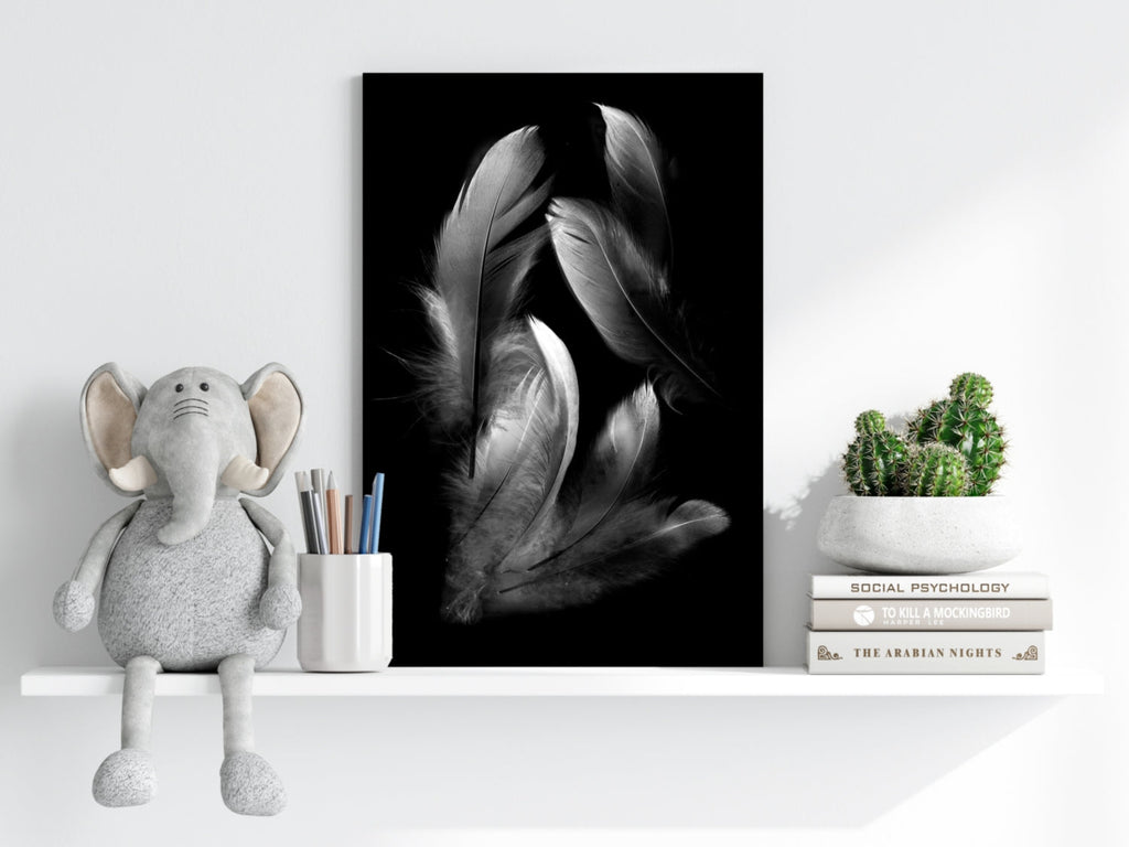 Feathers Aluminum Print
