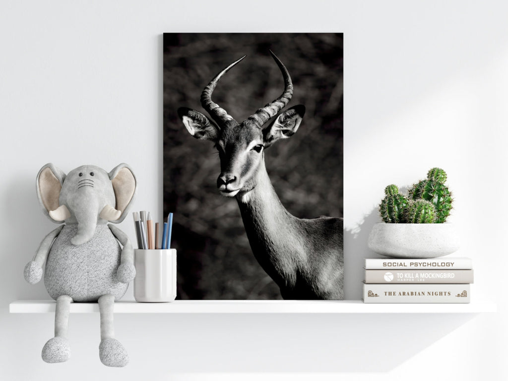 Antilope Aluminum Print