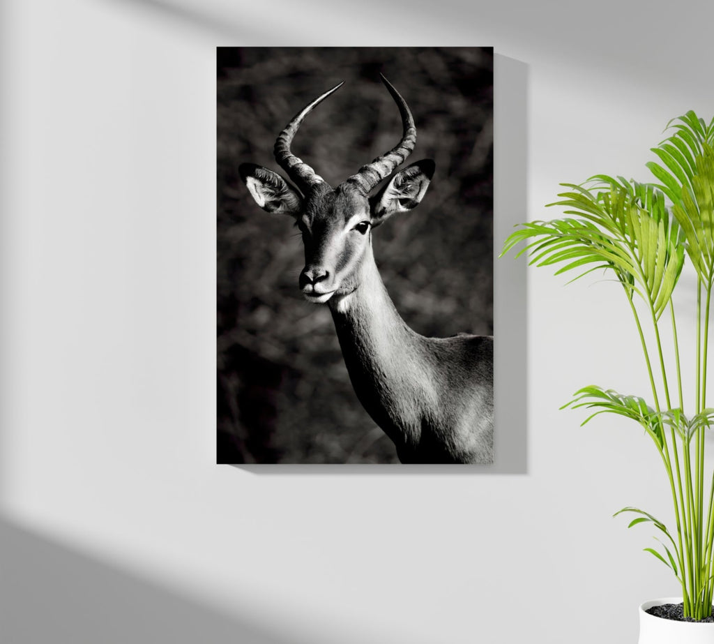 Antilope Aluminum Print