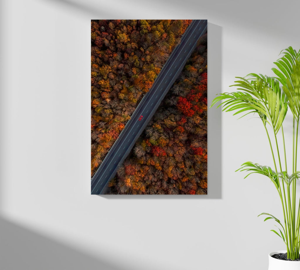 Outdoor Aluminum Print