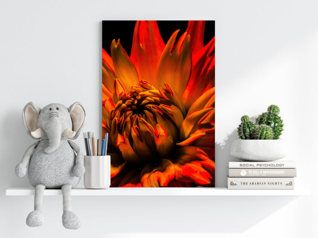Elderflower Aluminum Print