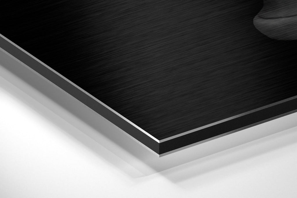 Blurry Statue Brushed Aluminium Dibond Wall Art
