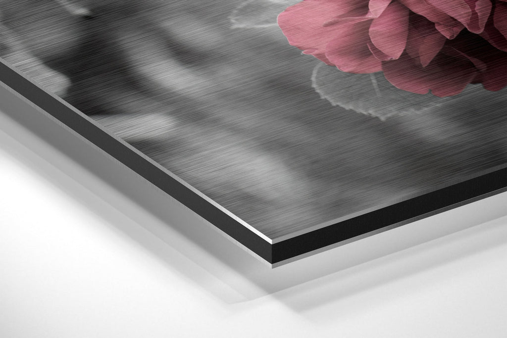 Roses Brushed Aluminium Dibond Wall Art