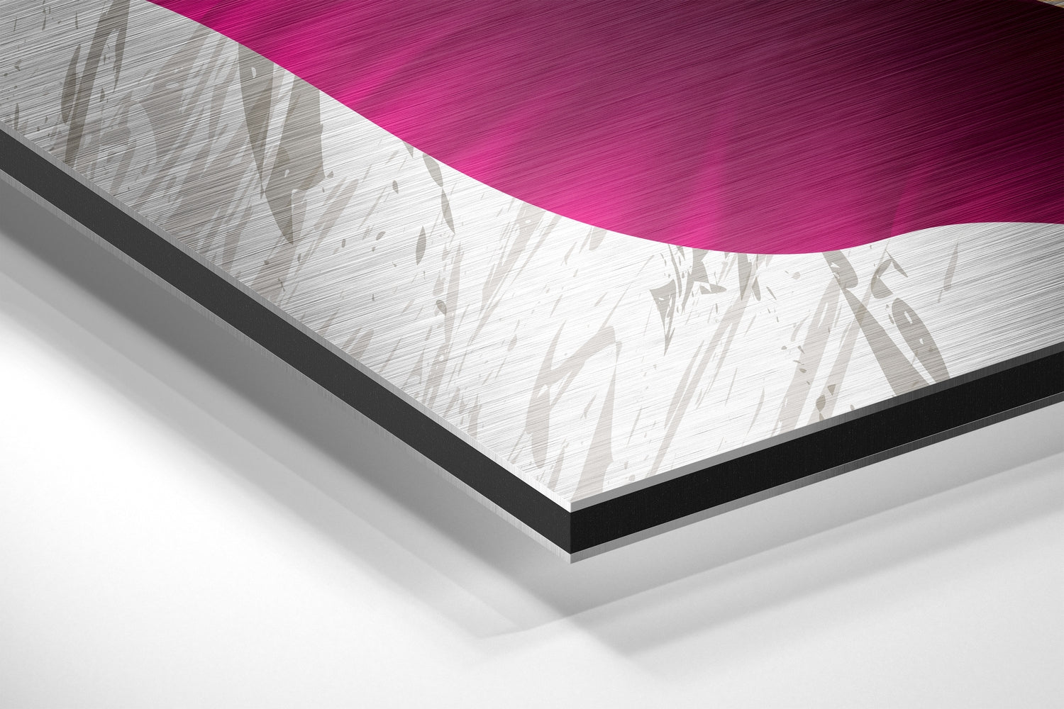 Feathers Brushed Aluminium Dibond Wall Art