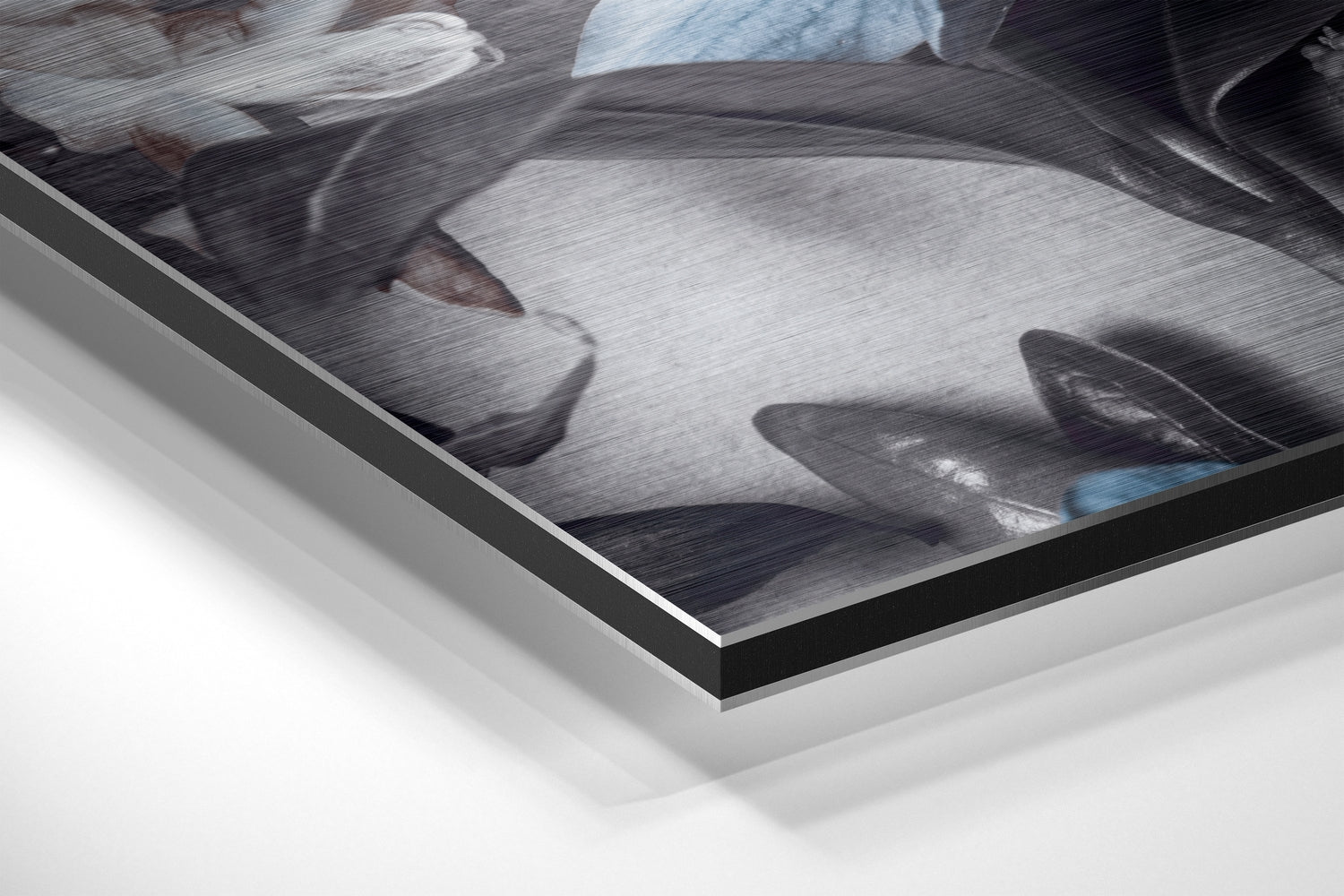 Flowers Brushed Aluminium Dibond Wall Art