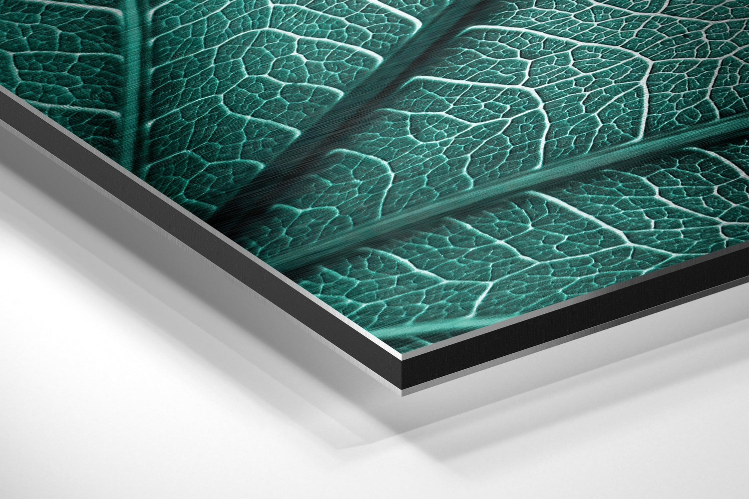 Leaf Brushed Aluminium Dibond Wall Art
