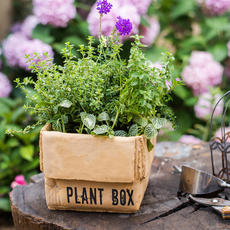Cement Brown Paper Box Flowerpot Creative Planting Indoor Balcony