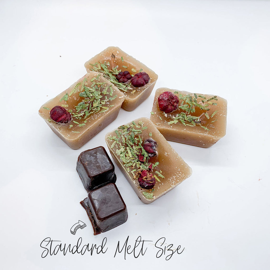 Snickerdoodle XL Wax Melts - 4 Large Cinnamon Sugar and Nutmeg Cubes