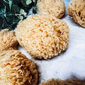 Dead Sea Natural Bath Sponge 3-4 Inch Exfoliating Cleansing Soft Skin