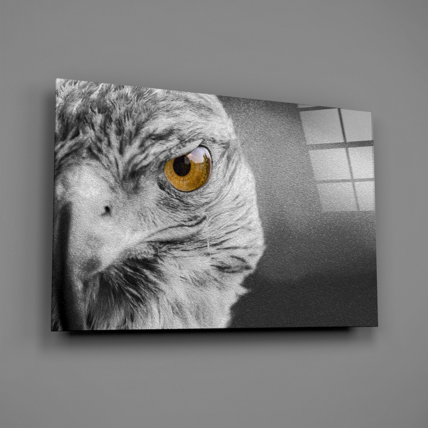 Falcon Glass Wall Art