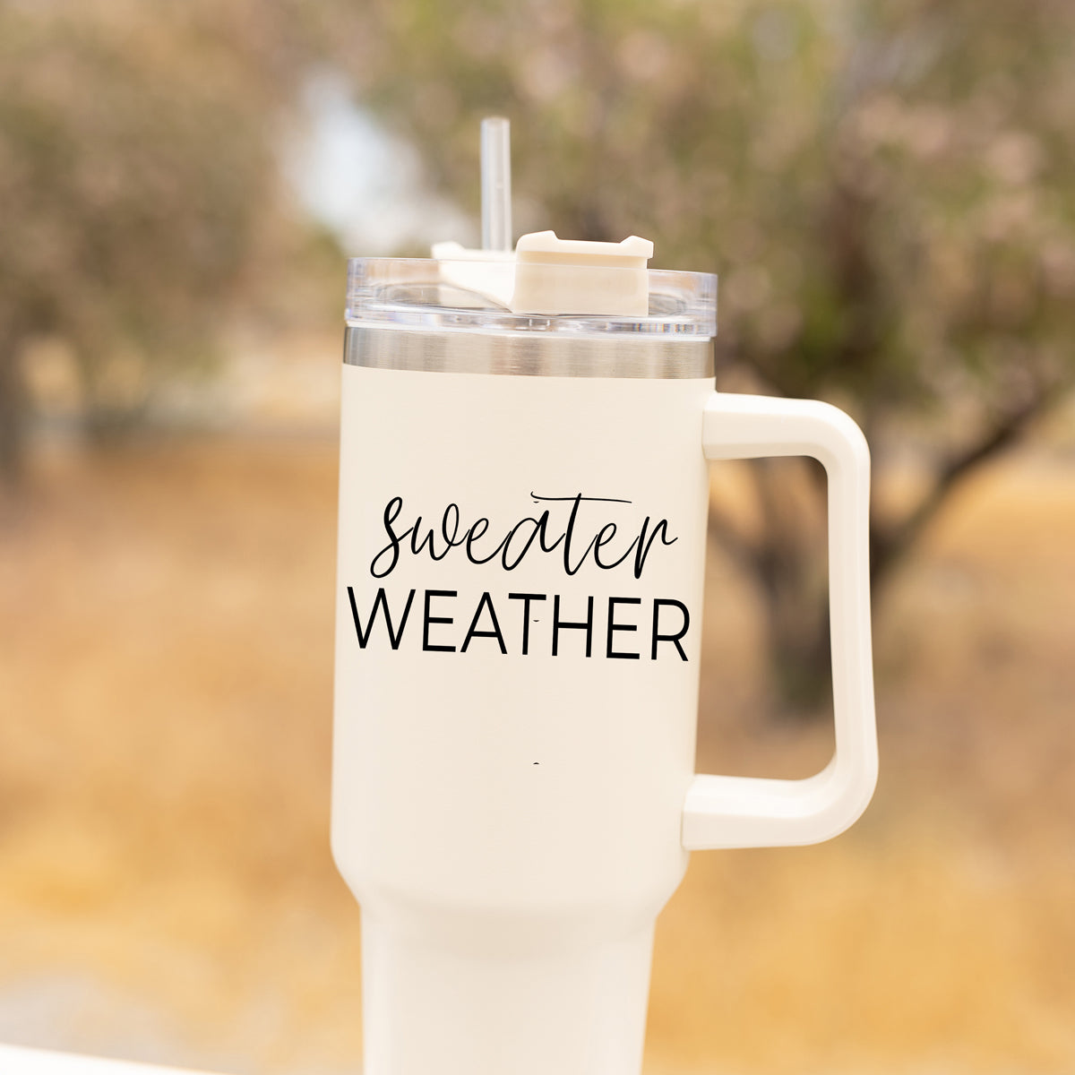 Insulated 40oz Travel Mug With Handle, Lid & Straw - Sweater Weather Fall Mug