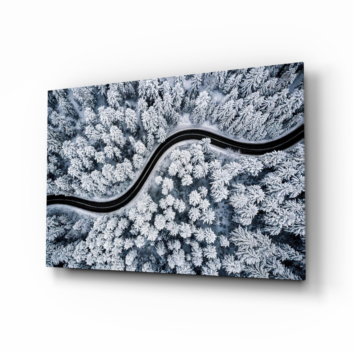 Forest Landscape Glass Wall Art