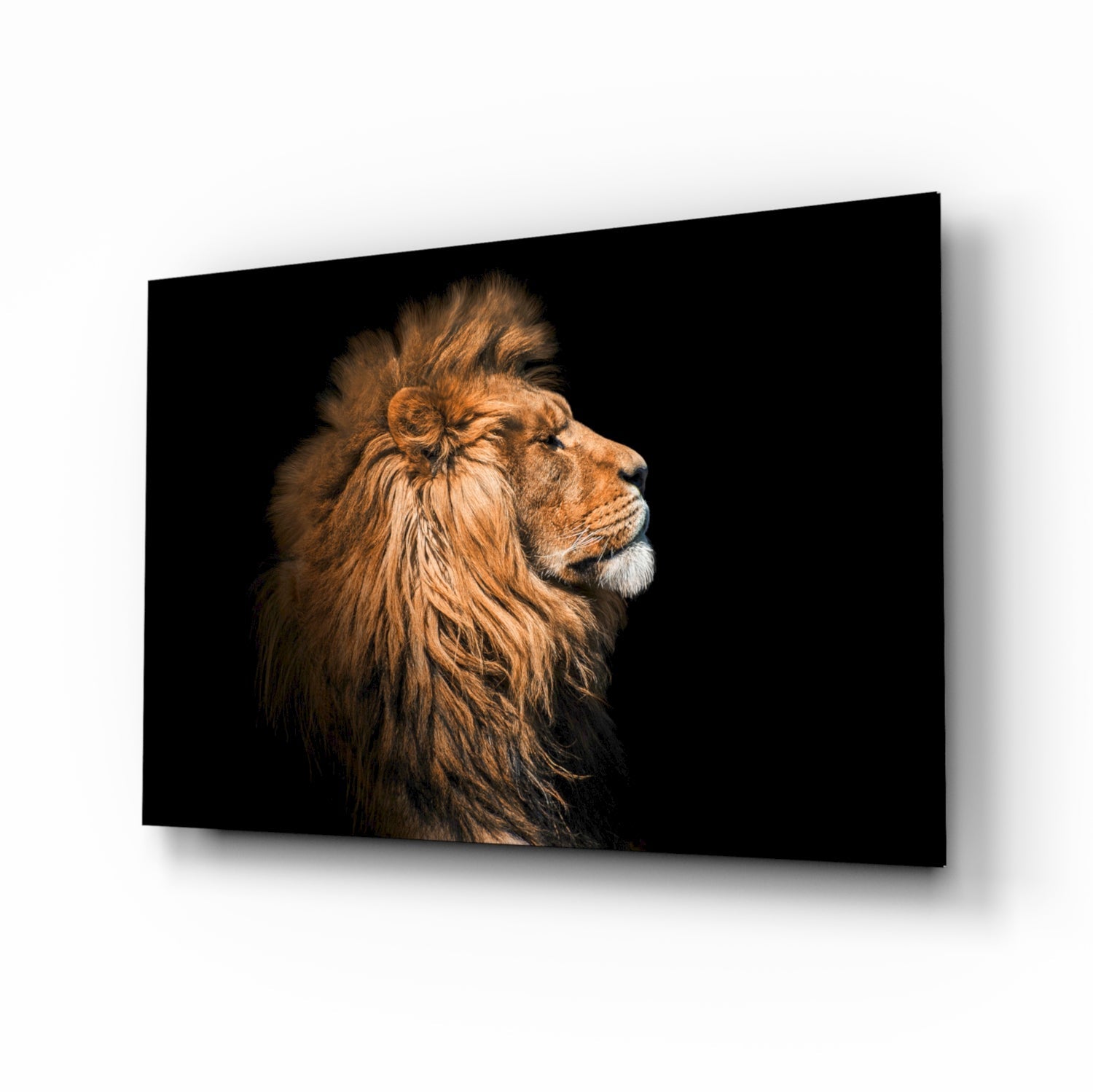Lion Glass Wall Art