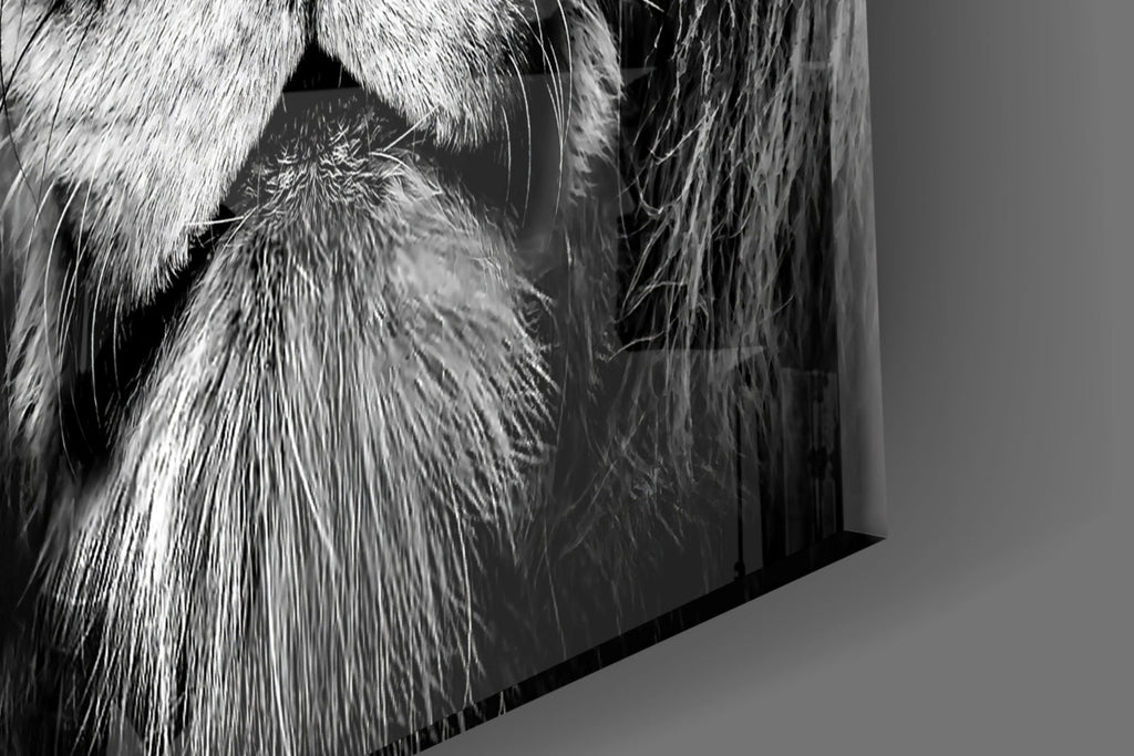 Lion Glass Wall Art
