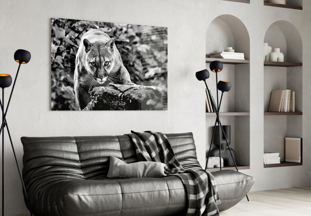 Puma Glass Wall Art