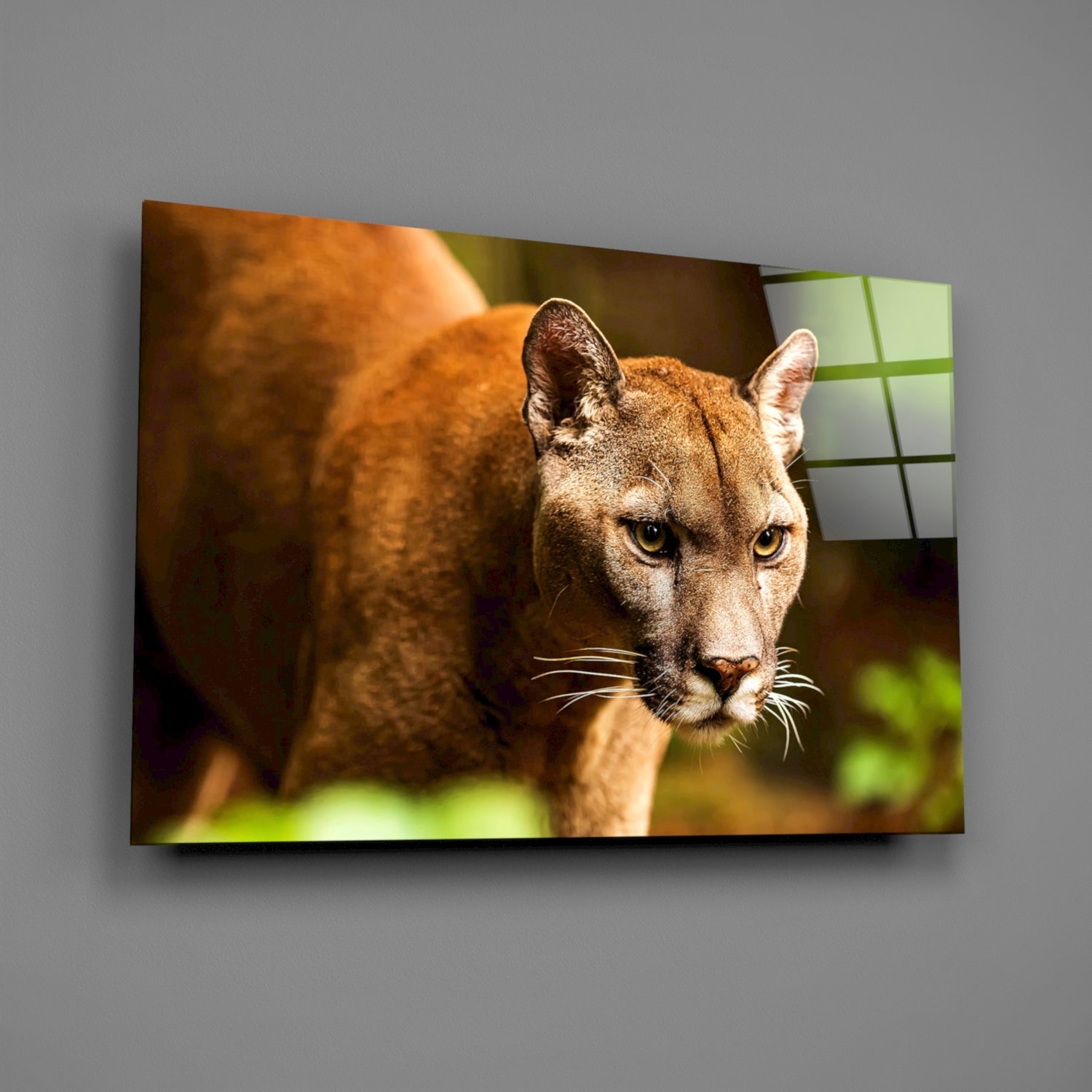 Puma Glass Wall Art