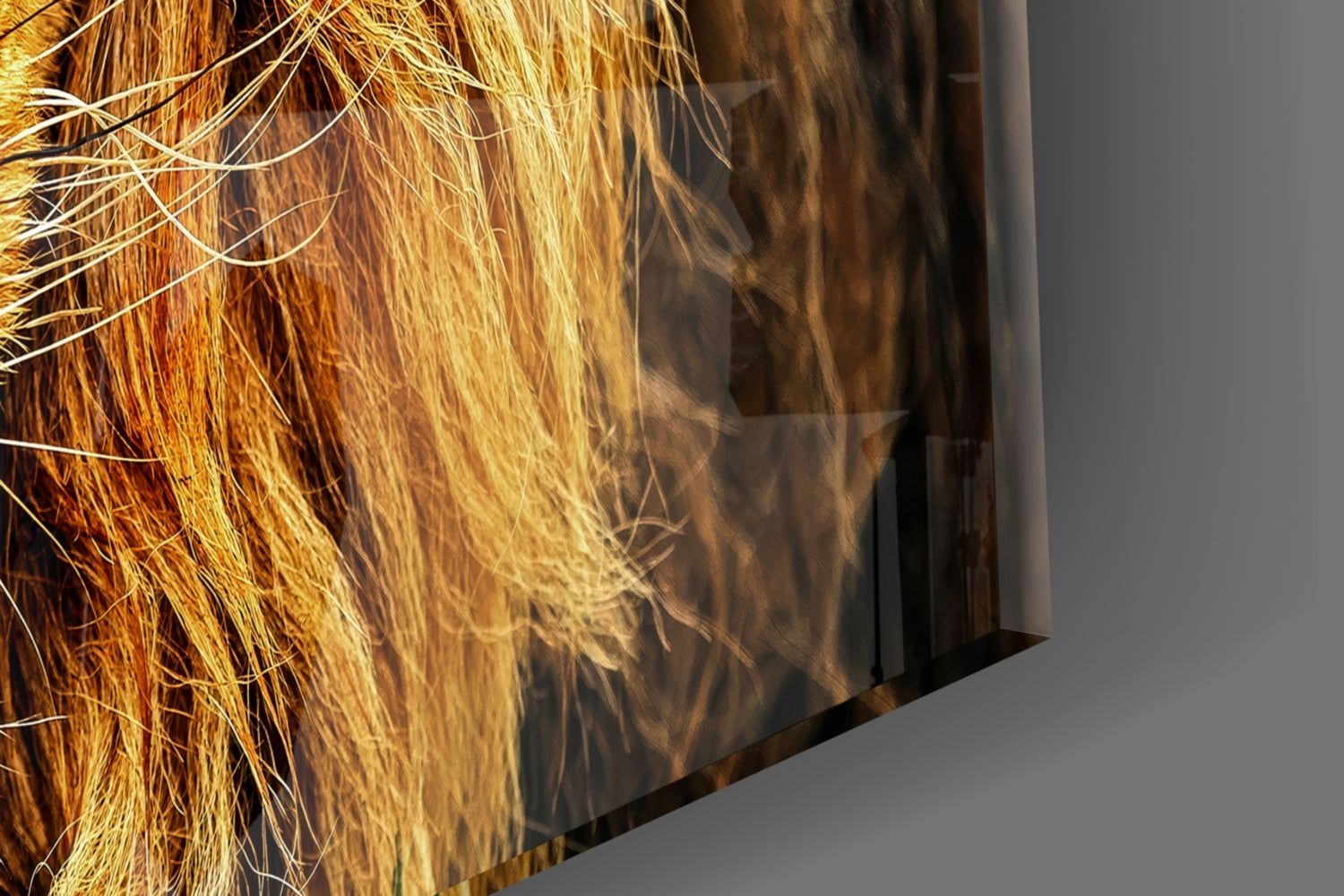Lion Glass Wall Art